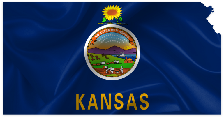 Kansas state flag